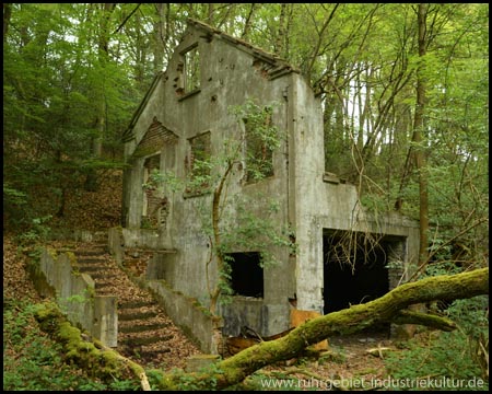 Die Ruine der Zechenanlage im Wald