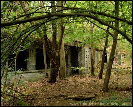 Alte Zechenanlage im Wald