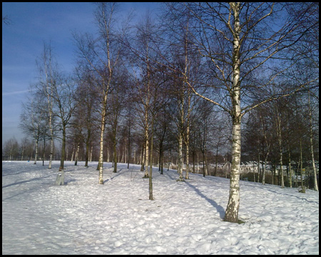 Prosper-Park im Schnee
