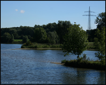 Bergsenkungsgewässer in Lippe-Altarmen