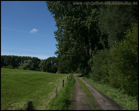 Weg durch die Lippeauen von der Halde Radbod (Blick zurück)