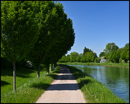 Ein sonniger Kanalweg gesäumt von grünen Bäumen. Der Schotterweg führt entlang des ruhigen Wassers, das den blauen Himmel reflektiert. Die üppige Vegetation schafft eine idyllische Atmosphäre.