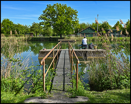 Ein schmaler Metallsteg führt über flaches Wasser zu einem Angelplatz, wo eine Person sitzt. Umgeben von Schilfgras und Uferpflanzen bildet dieser kleine Pier einen ruhigen Rückzugsort in einer Parklandschaft mit Bäumen im Hintergrund.