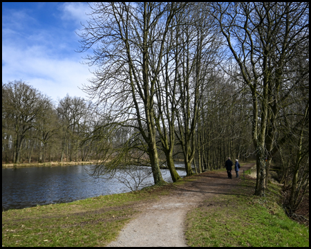 Weg in einer Baumallee und Teich