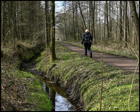 Wanderweg durch den Tiergarten Raesfeld