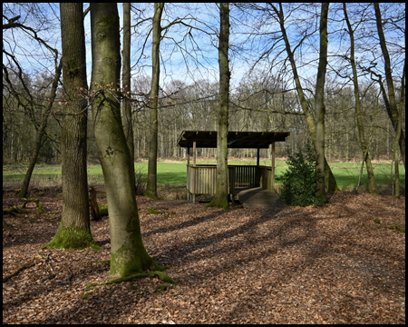 Wildbeobachtungshütte im Wald