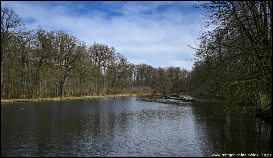 See im Tiergarten Schloss Raesfeld