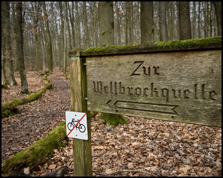 Holzschild als Wegweiser zur Wellbrockquelle in einem Wald