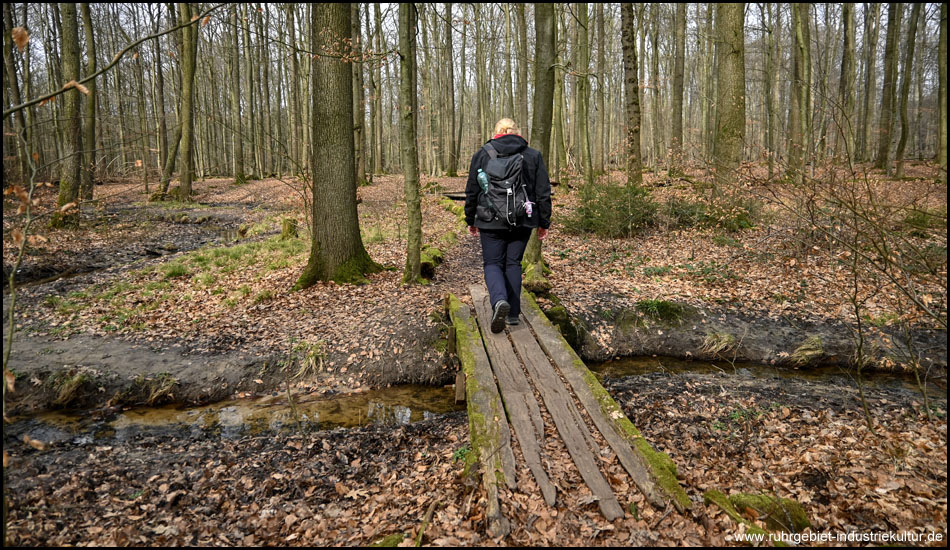 Eine Frau geht über einen Holzsteg durch einen Wald