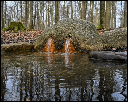 Wellbrockquelle: Wasser sprudelt aus einem Stein in ein Bassin