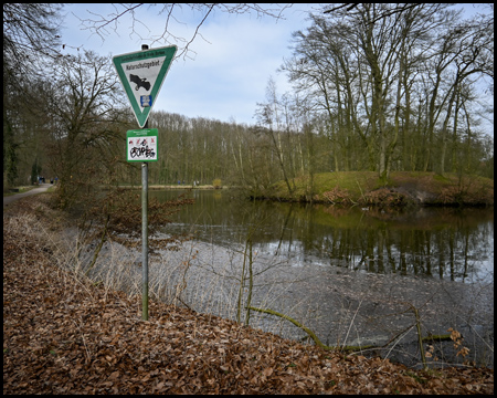 Weinbergteich mit Insel