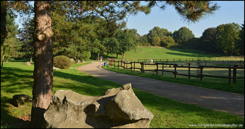Revierpark Mattlerbusch in einem Bild: Hügelige Landschaft mit breiten Wegen, viel Grün und Pferde