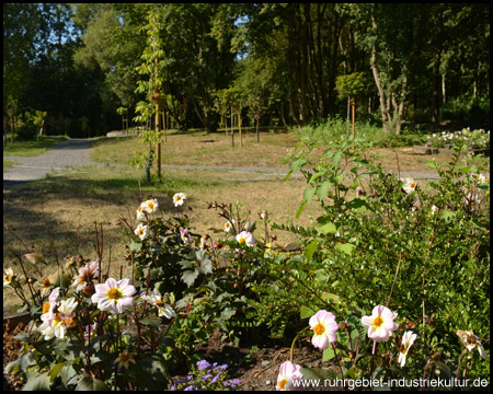 Gesundheitspark Nienhausen in Gelsenkirchen