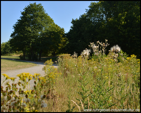 Gesundheitspark Nienhausen in Gelsenkirchen