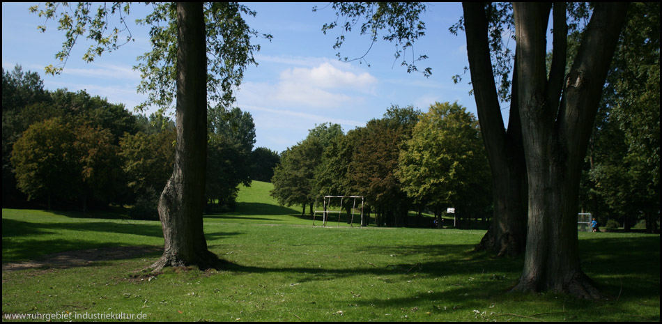 Typisch für den Revierpark sind weite Wiesenflächen, Baumbestand und Freizeitanlagen, wie hier ein Sportplatz