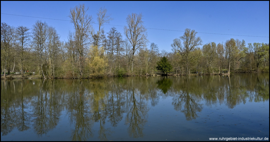 See im Revierpark Wischlingen