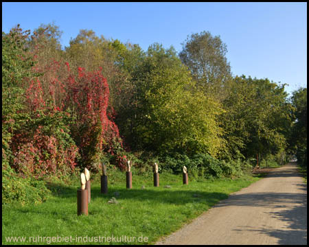 Halde Hamburg am Wegesrand (Blick zurück)