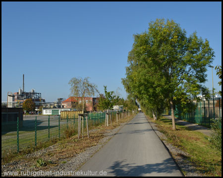 Neuer Wegabschnitt: Jetzt auf geteertem Radweg