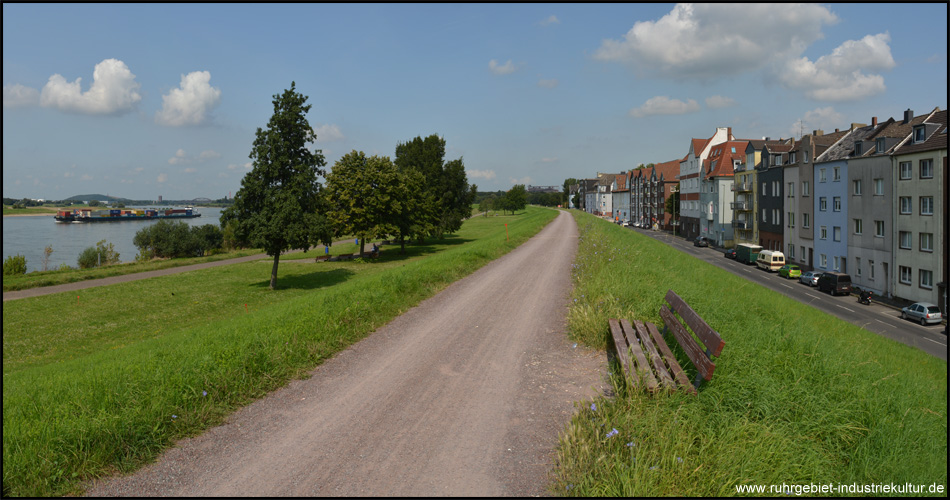 Radweg auf dem Deich zwischen dem Rhein und den Häusern von Laar