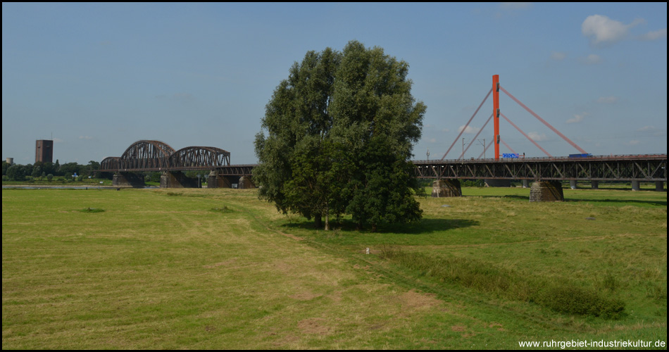 Blick über die Rheinwiesen auf die Eisenbahnbrücke und die dahinterliegende Autobahnbrücke