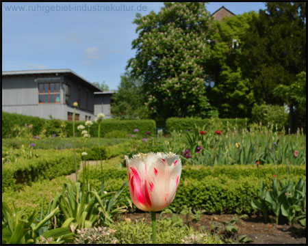 Bauerngarten vor dem alten Gutshaus