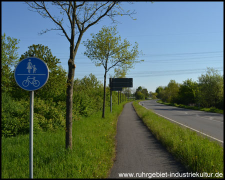 Auf dem straßenbegleitenden Radweg von Waltrop nach Selm