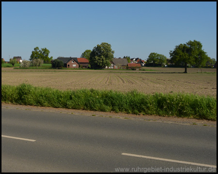 Radweg an der Straße entlang durch Felder und Gehöfte