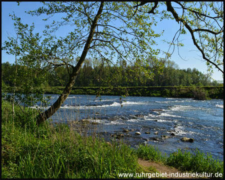 Stromschnellen an der Lippe: Hier gibt es Zugang zum Wasser