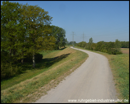 Deichweg im Naturschutzgebiet Lippeaue