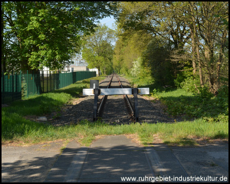 Ende des Bahntrassenradweges: Hier liegen noch Schienen