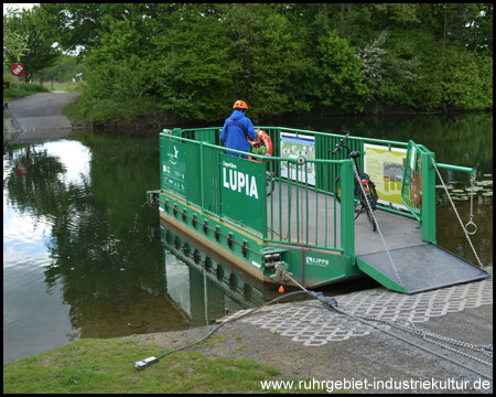 Lippefähre "Lupia" über den Fluss