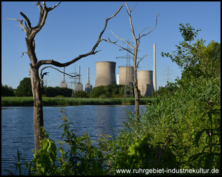 Naturschutzgebiet Tibaum