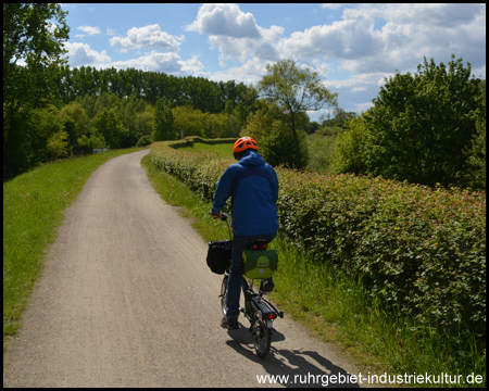 Auf dem Lippeauenweg hoch oben auf dem Deich