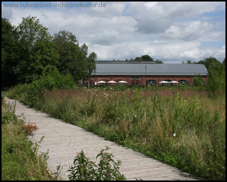 Landschaftspark auf dem Rohrmeisterei-Plateau mit Biotop