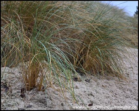 Sanddünen und das Gefühl von Küste mitten im Ruhrgebiet