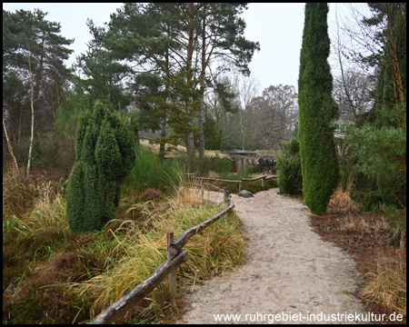 Moor- und Heidelandschaft im Rombergpark Dortmund