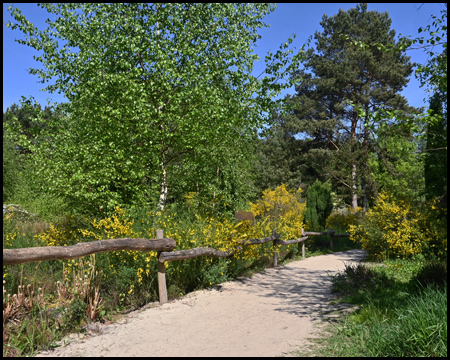 Moor-Landschaft im Rombergpark