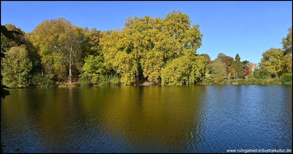 Kleiner See im Rombergpark Dortmund, in dem sich die Herbstbäume spiegeln