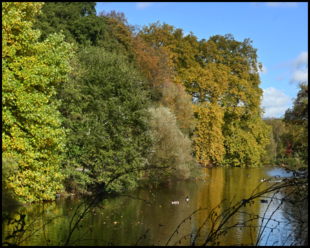 Teich mit bunten Bäumen