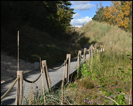 Dünenlandschaft mit Steg