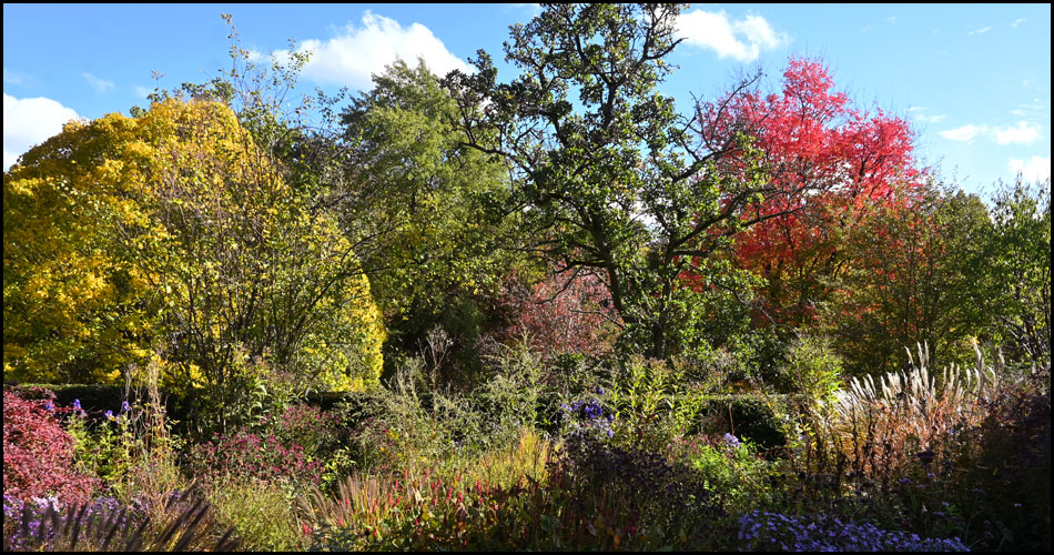 Bunte Bäume im Rombergpark am Staudengarten