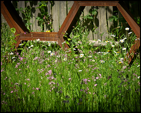 Wildblumen vor einem Stahlgerüst in Bienen-Wabenform