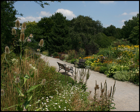 Staudengarten im Rombergpark