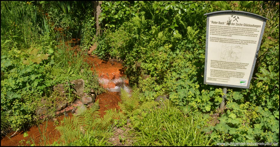 Roter Bach im Rombergpark