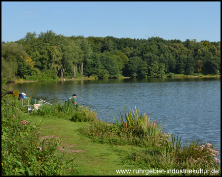 Ufer des Rotbachsees mit Anglern