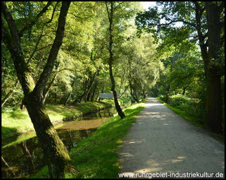 Rotbach, vom See (rechts) durch den Weg getrennt