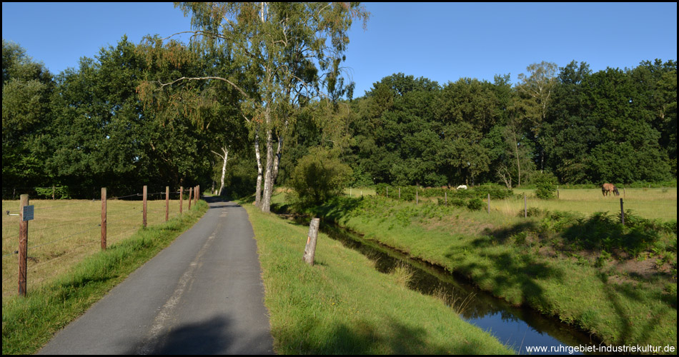 Der Radweg verläuft von nun an direkt neben dem Rotbach. Auf diesem Teilstück sogar auf asphaltierter Oberfläche