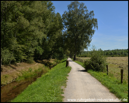 Zurück am Rotbach (Blick zurück)