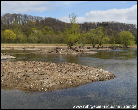 Neue Flusslandschaft mit Inseln und Auen