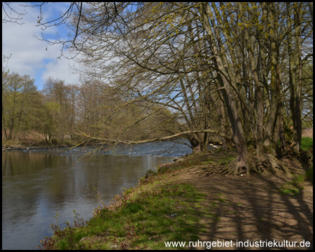 Am Ufer der Lenne bei Elsey